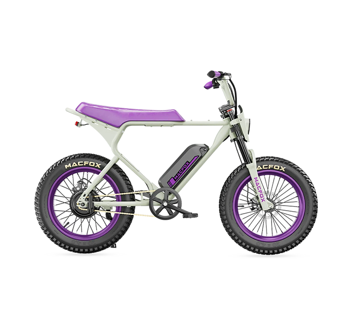 Macfox E-bike X1S x Bs.zay